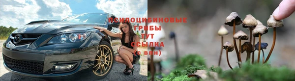 гидра Баксан