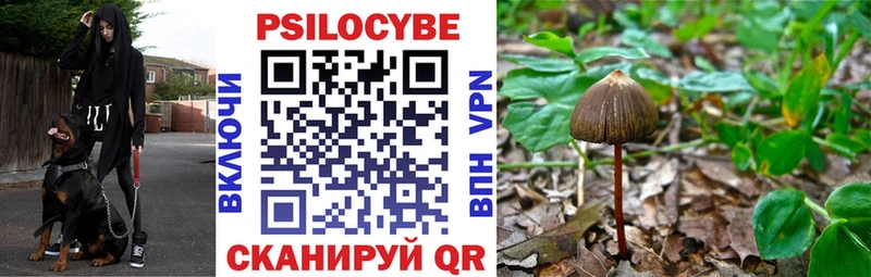 Псилоцибиновые грибы Magic Shrooms  купить наркотики цена  Наволоки 